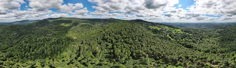 panoramic view across the bavarian forest