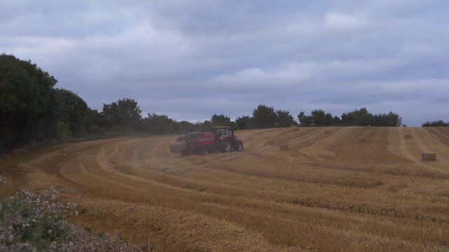 Tractor with hay bales drives across farmland after harvest