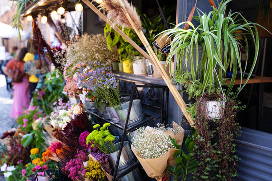 Flowers and plants in a street market stall