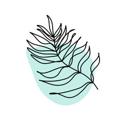 Abstract color leaf as line drawing on the white background. Vector