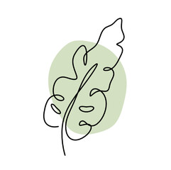 Abstract color leaf as line drawing on the white background. Vector