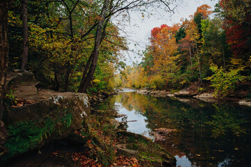 Fall by the water