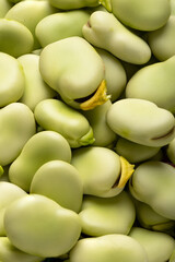 Close up photo of broad beans.