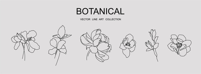 Botanical vector line art collection minimal botanical graphic sketch drawing, trendy tiny tattoo design, floral elements vector illustration