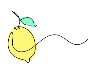 Color drawing line lemon on the white background. Vector