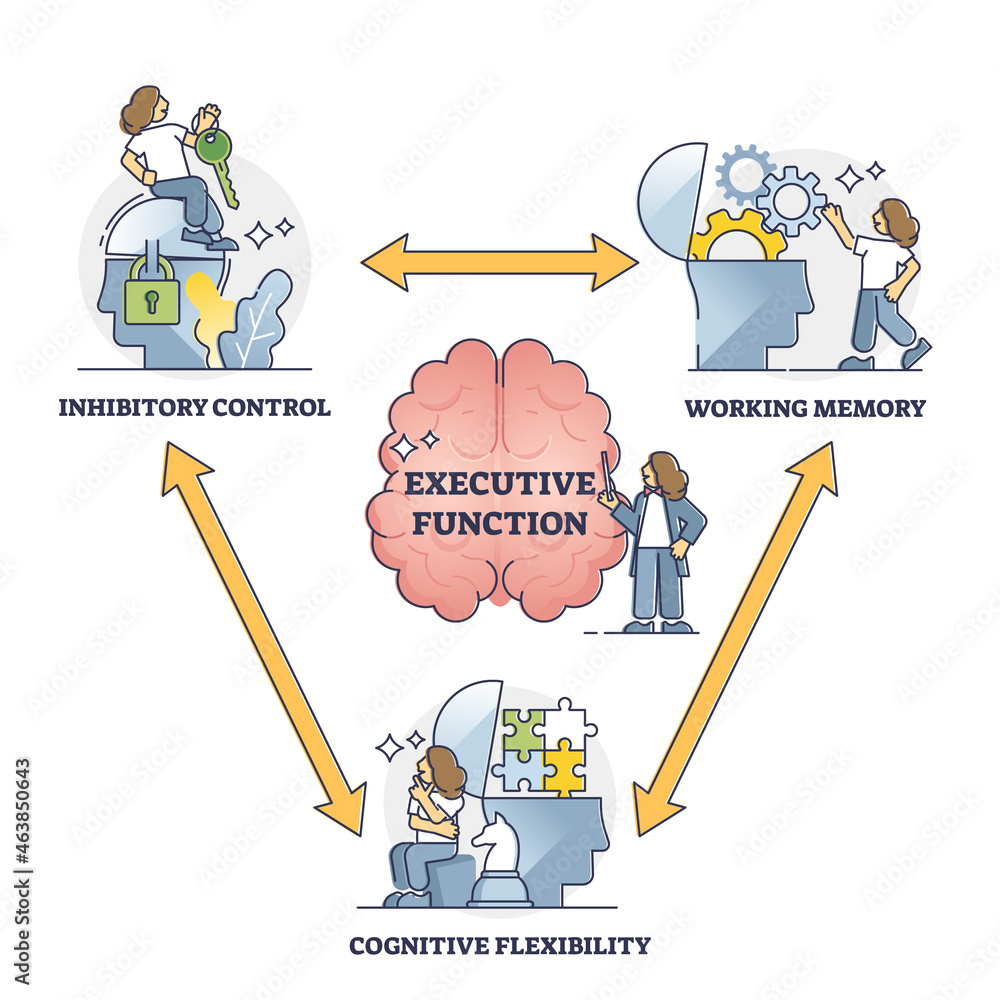 Poster executive function or cognitive control, vector illustration outline diagram. brain thought process 