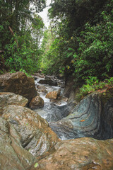 Paisaje con un rio, bosque tropical de latinoamerica, colombia