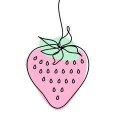 Drawing line of color strawberry on the white background. Vector