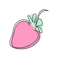 Drawing line of color strawberry on the white background. Vector