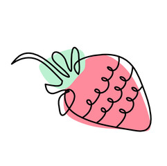 Drawing line of color strawberry on the white background. Vector