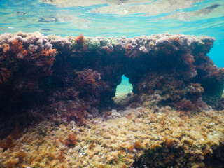 sea background