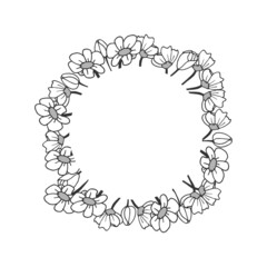 beautiful flower illustration on white background. circle shape. hand drawn vector. nature frame, border. greeting card design. doodle art for wallpaper, poster, banner, invitation card, sticker. 