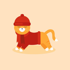 This is a cat in clothes isolated on a light background.
