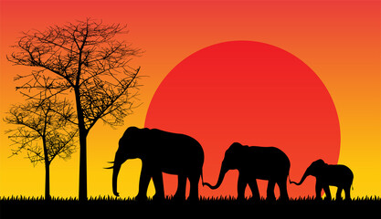 Obraz na płótnie Canvas sunset silhouette animal vector