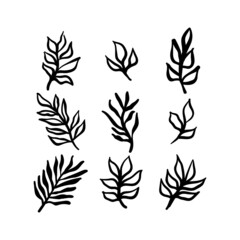 Little branches and floral doodles, hand drawn sketch drawings of plants, branches and leaves. Vector illustration.