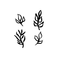 Little branches and floral doodles, hand drawn sketch drawings of plants, branches and leaves. Vector illustration.