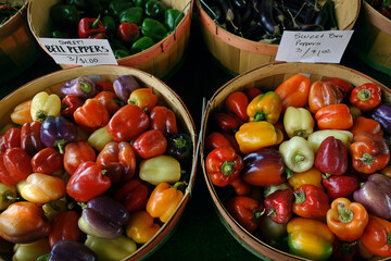 Locally grown bell peppers for sale at the State Farmers Market in Raleigh, North Carolina