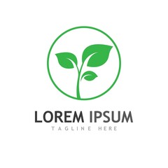 leaf logo and vector images