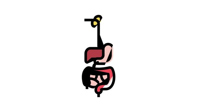 digestive system animated color icon. digestive system sign. isolated on white background