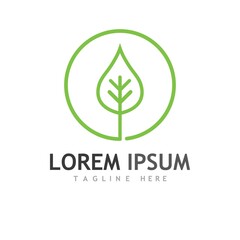 leaf logo and vector images