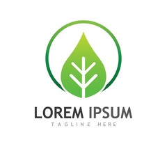 Fototapeta premium leaf logo and vector images