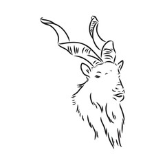 the head of a goat with large screw horns and thick hair looks straight full-face, sketch vector graphics monochrome illustration on a white background