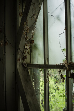 校舎