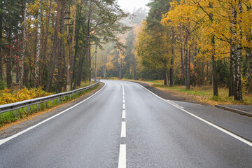 Road in the autumn forest. Highway, beautiful autumn nature, yellow trees and October.