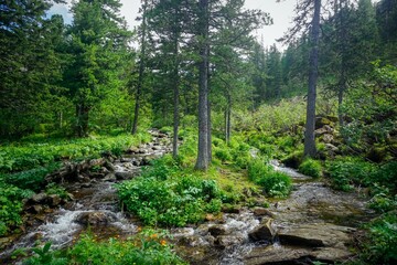 Fabulous nature in the Siberian Sayan Mountains