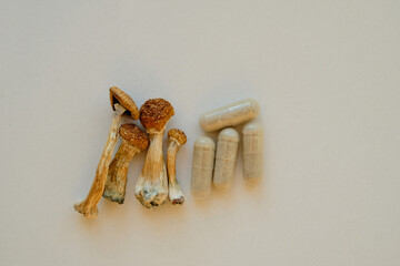 Micro dosing concept. Dry psilocybin mushrooms and herbal pills on ivory background. Psychedelic...