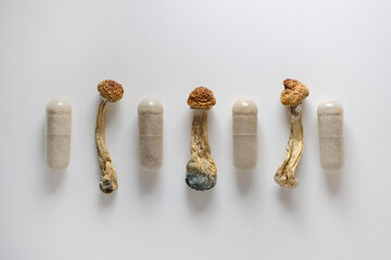 Micro dosing concept. Dry psilocybin mushrooms as natural herbal pills on white background....