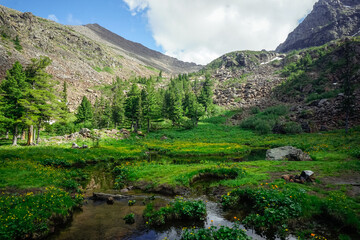 Beautiful stream in the Siberian mountains Sayan