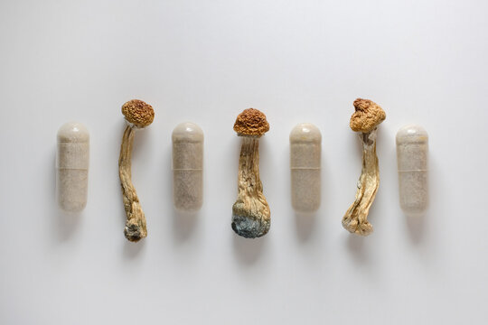 Micro dosing concept. Dry psilocybin mushrooms as natural herbal pills on white background. Psychedelic magic mushroom as medical supplement.