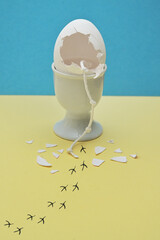 Escape Chopped Eggshell and Traces of chicken leading - obrazy, fototapety, plakaty
