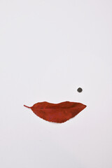 Abstract woman face and Shape Of Lips from Red Leaf