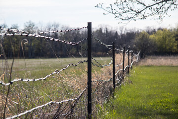 Barbed Wire