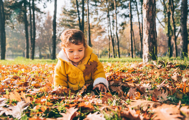 Happy little baby girl in yellow jacket outdoor crawling and playing with autumn leaves. Child...