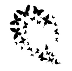 Plakat Flock of silhouette black butterflies on white background. Vector