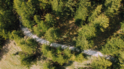 Aerial view of narrow road among green summer coniferous forest and field in the mountains. Italian Alps, drone view directly above. Sunny day.