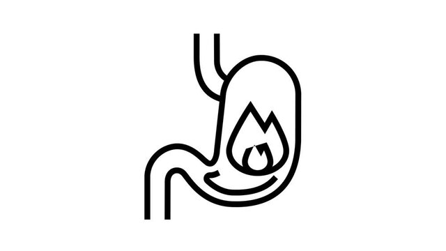 heartburn stomach animated line icon. heartburn stomach sign. isolated on white background