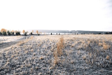landscape with snow