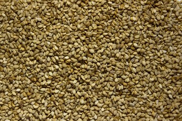 Fototapeta premium background of buckwheat