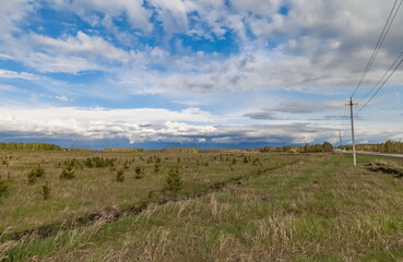 Field, grass and trees in summer against a blue sky with white clouds