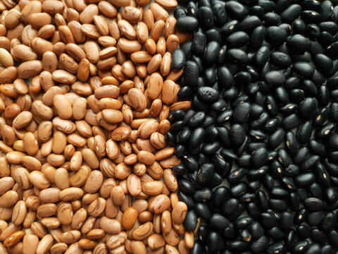 two types of bean grains the carioca and the black 