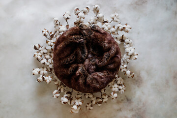 Brown cotton nest on a white background. Digital backdrop for newborn and baby photography.