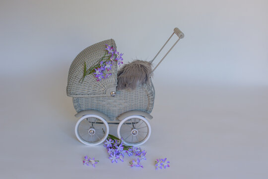 Vantage prom baby carriage. Digital background for newborn and baby photography. Selective focus