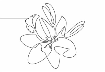 Botanical line illustration. One line logo. Flower in lines.Lotus flower continuous line drawing