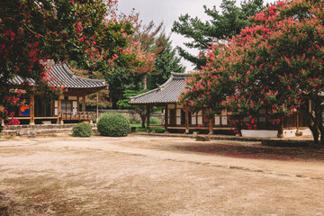 Obraz premium South Korea, nature