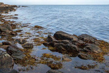 A rocky shoreline with blue water and a blu sky in the background. Picture from Skalderviken, southern Sweden