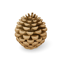 Close Up of Dried Brown Pine Cone. Single Decorative Woody Fruit of a Conifer Tree. Christmas Decoration, Holiday Decorative Concept on White Backdrop